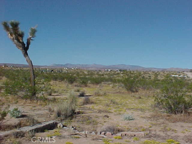 MLS #SW25017826 image #3