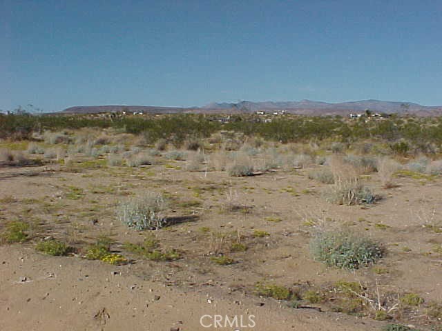 MLS #SW25017826 image #5