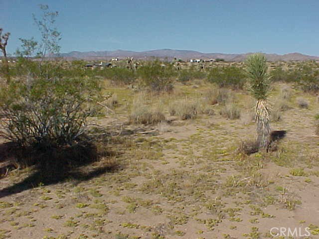 MLS #SW25017826 image #6