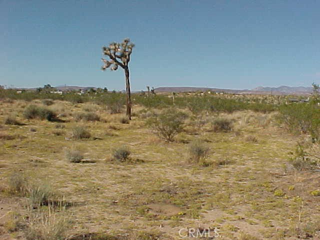 MLS #SW25017826 image #7