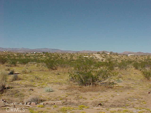 MLS #SW25017826 image #8