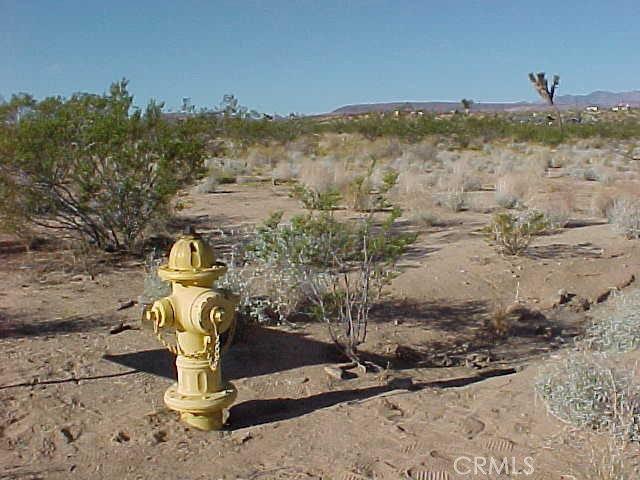 MLS #SW25017826 image #9