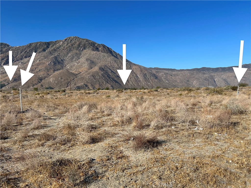 MLS #SW25029784 image #0