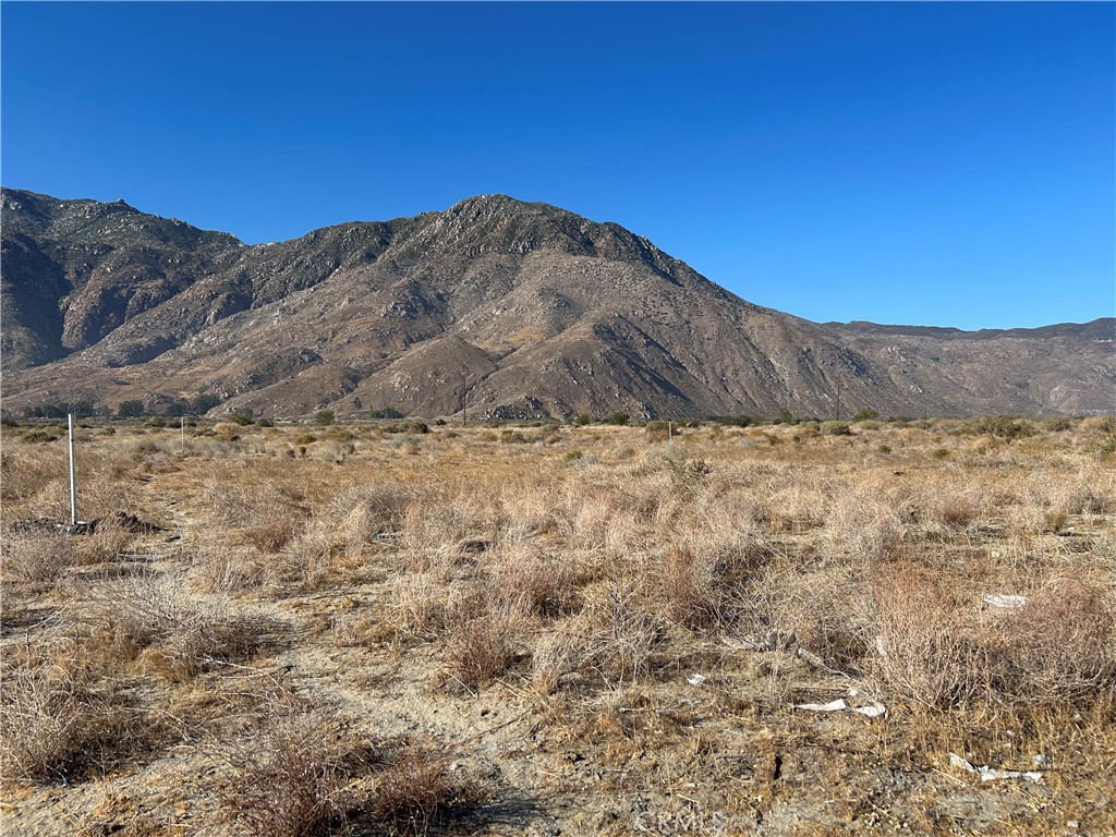 MLS #SW25029784 image #1