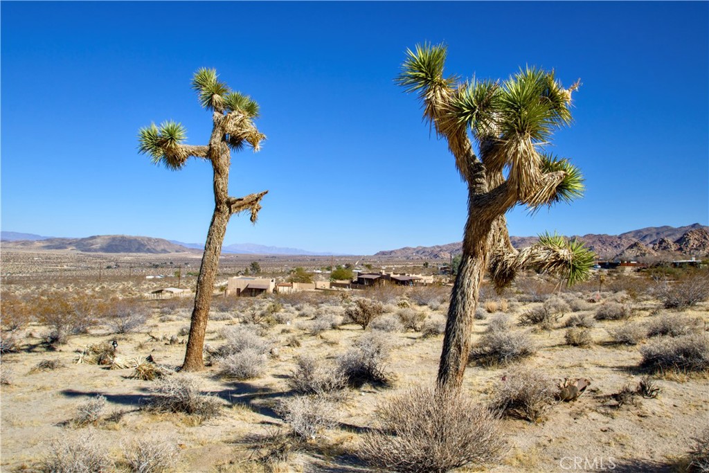 MLS #SW25032644 image #3