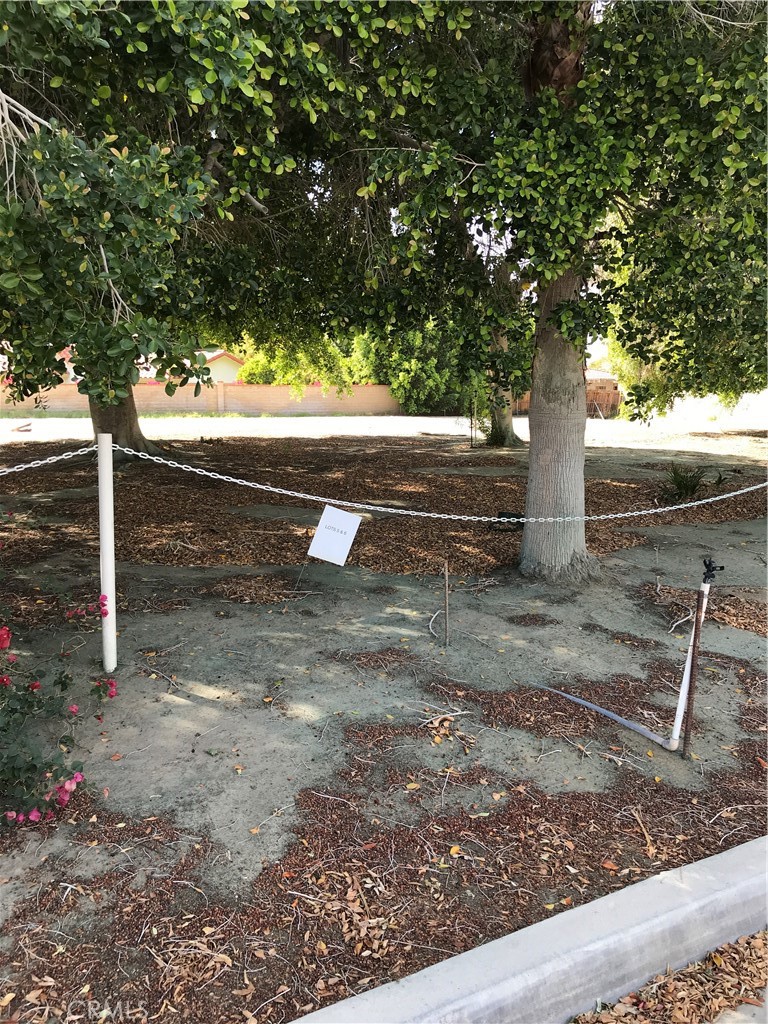 MLS #SW25056920 image #1