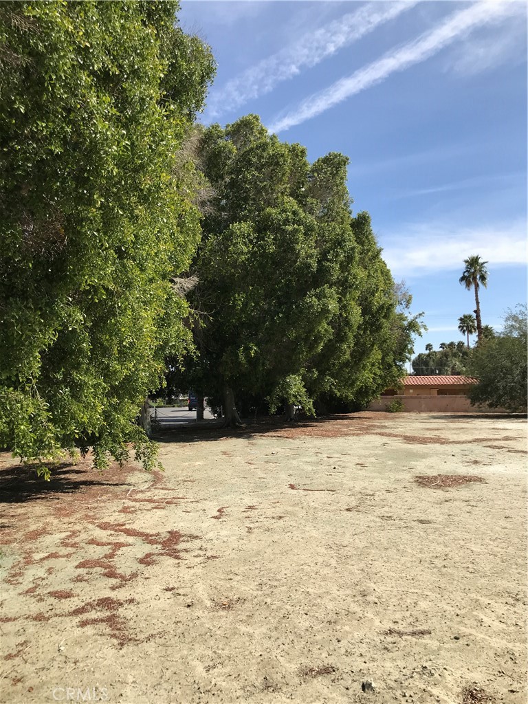 MLS #SW25056920 image #2