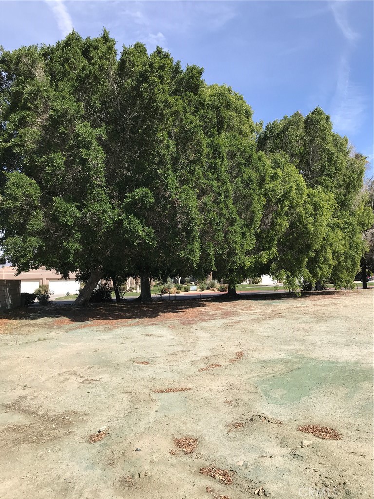 MLS #SW25056920 image #5