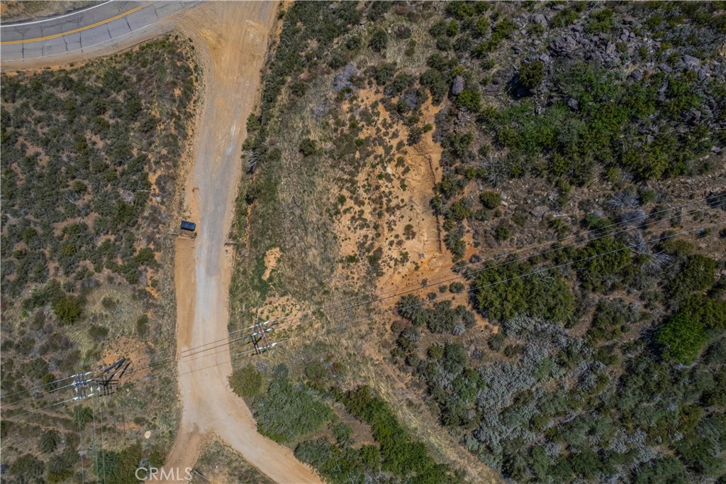 MLS #SW25093984 image #4