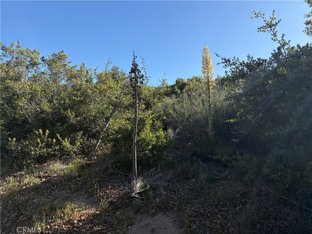 MLS #SW25110188 image #0