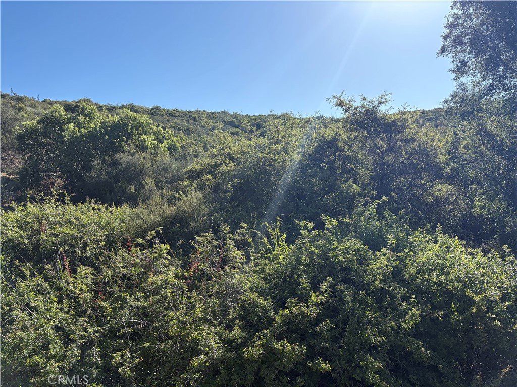 MLS #SW25110188 image #3