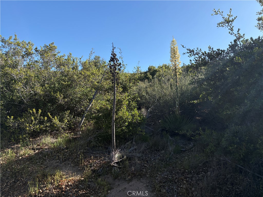 MLS #SW25110189 image #0