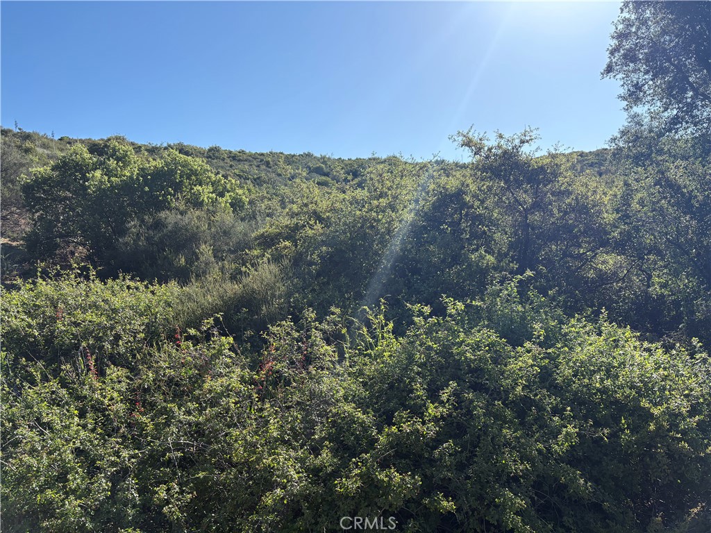 MLS #SW25110189 image #3