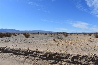 MLS #SW25119622 image #5