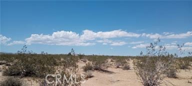 MLS #SW25126766 image #3