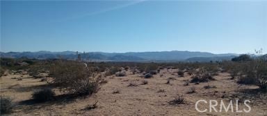 MLS #SW25126766 image #4