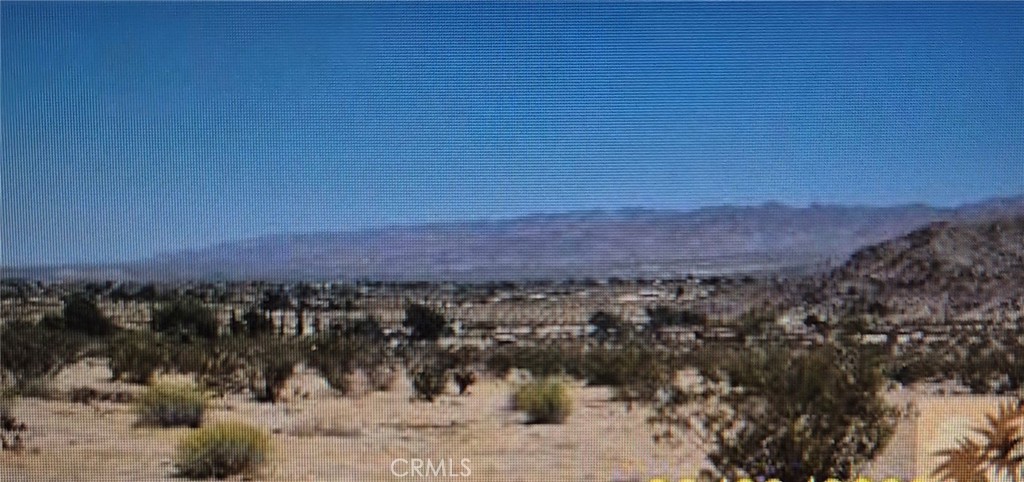 MLS #SW25129261 image #2