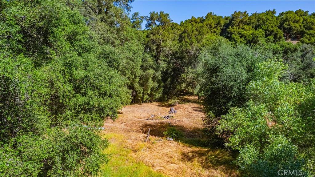 MLS #SW25133370 image #3