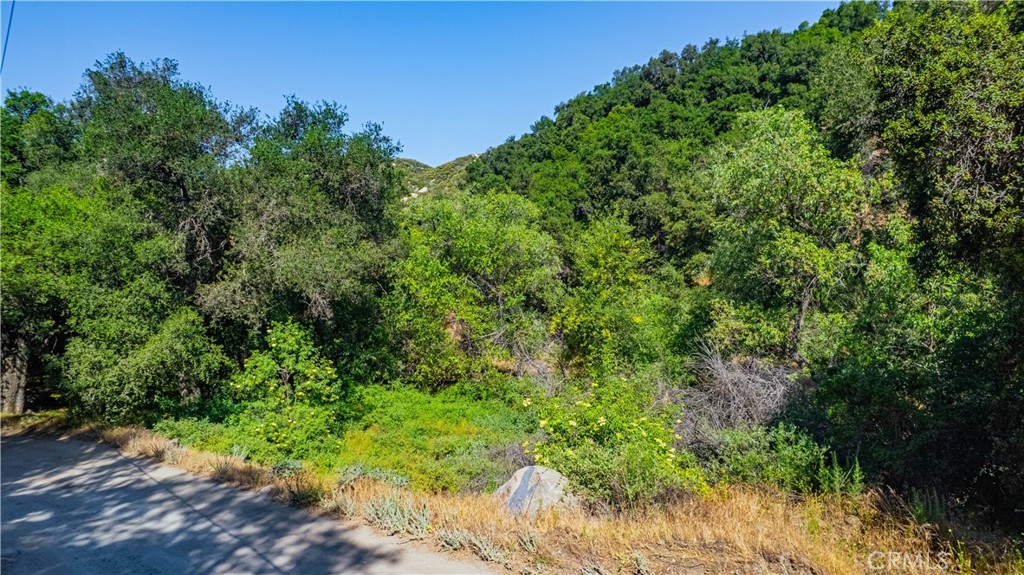 MLS #SW25133370 image #5