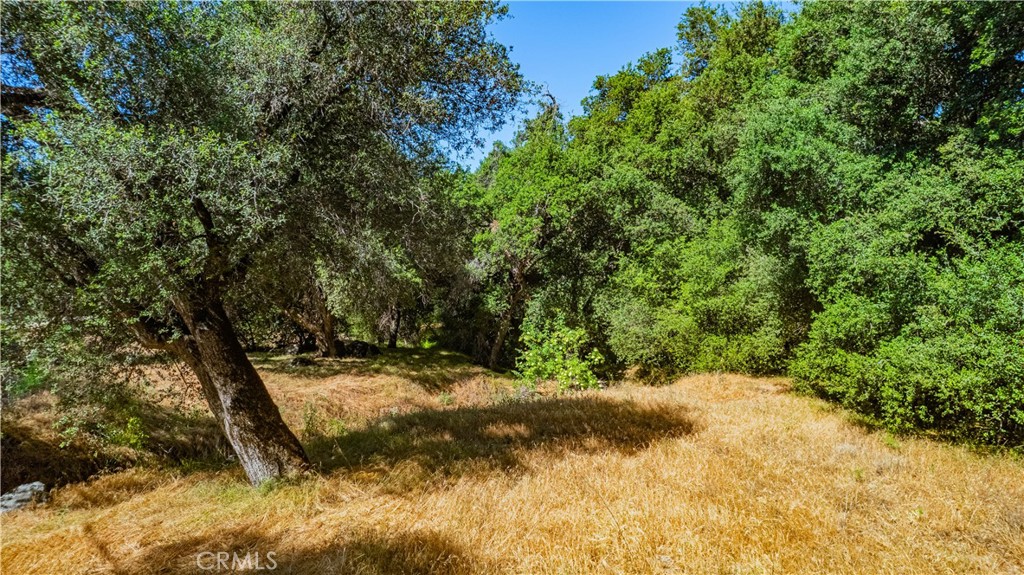 MLS #SW25133370 image #6