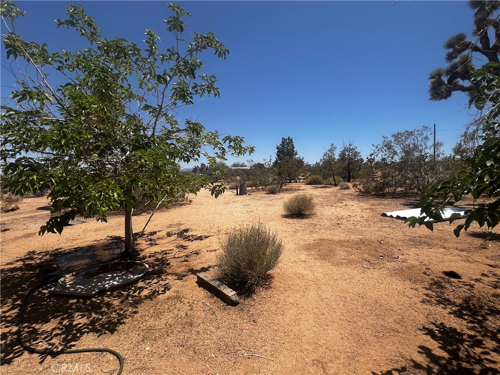 MLS #SW25144551 image #5