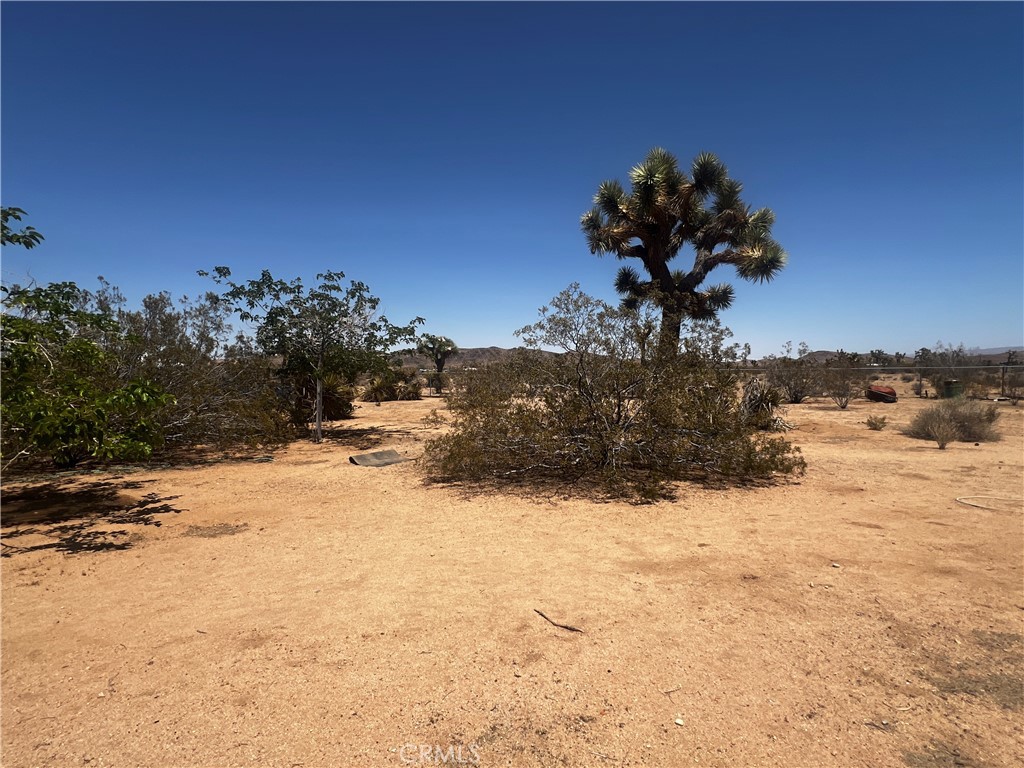 MLS #SW25144551 image #7