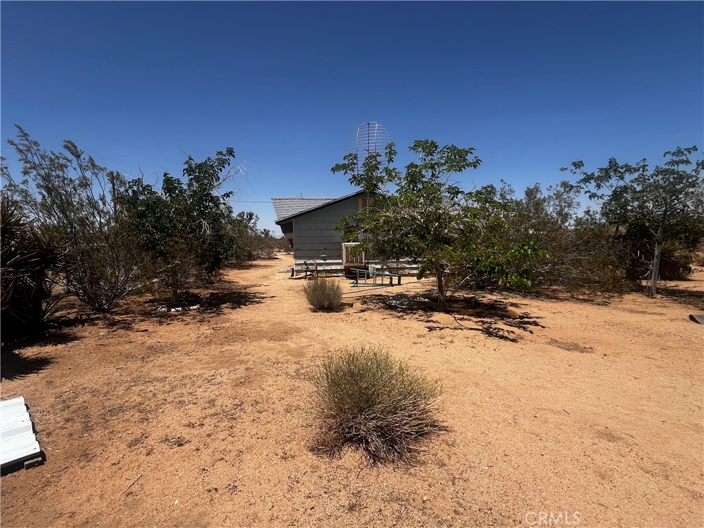 MLS #SW25144551 image #8