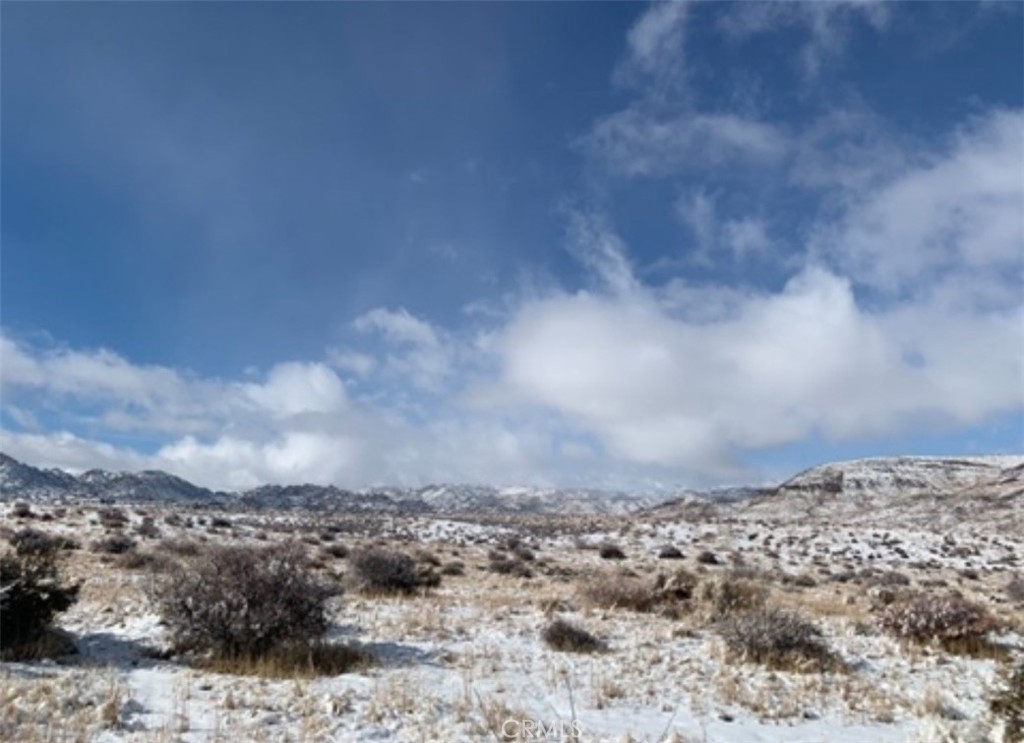 MLS #SW25164124 image #10