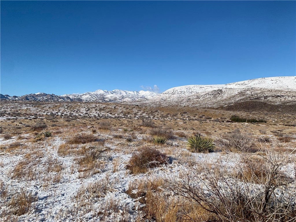 MLS #SW25164124 image #11