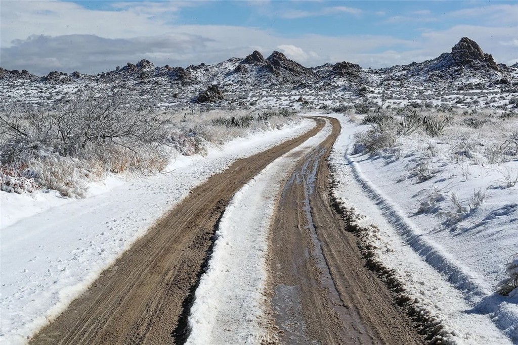 MLS #SW25164124 image #12