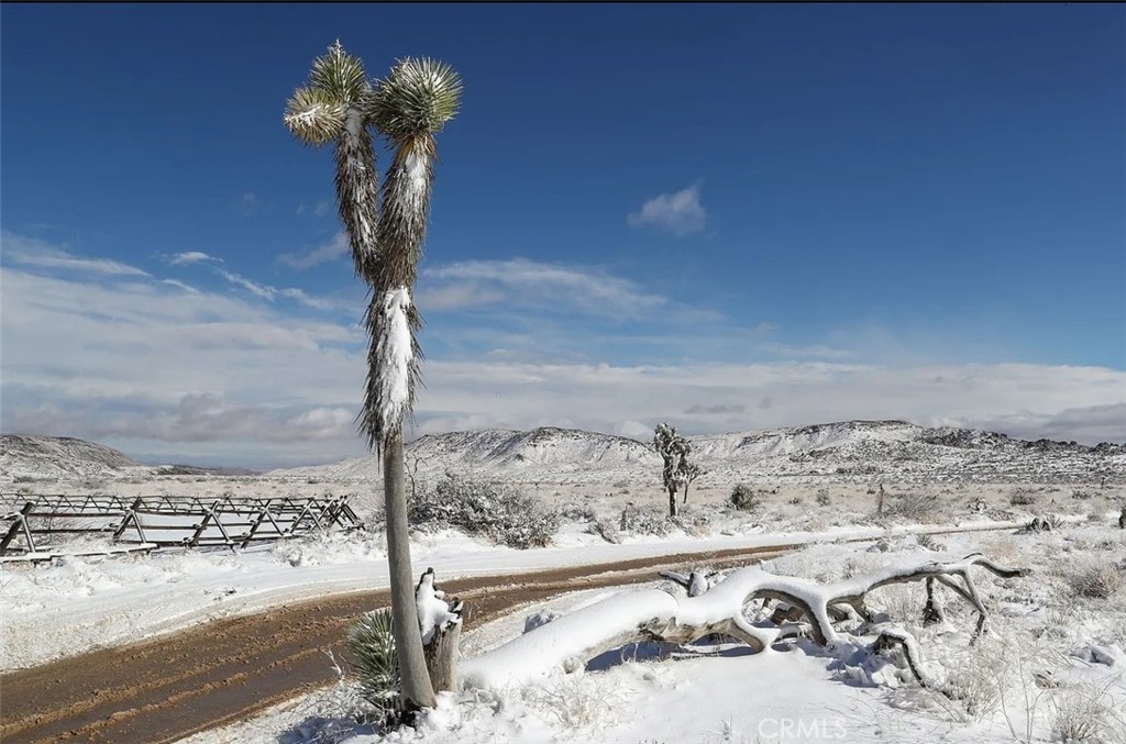 MLS #SW25164124 image #13