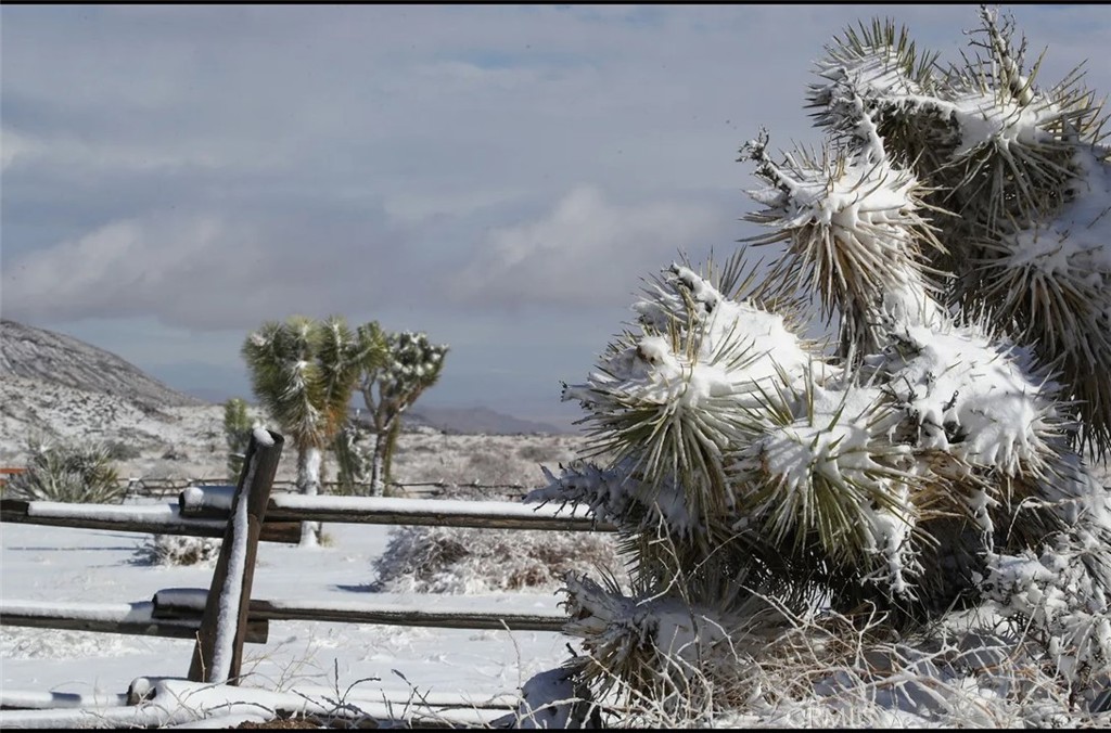 MLS #SW25164124 image #16