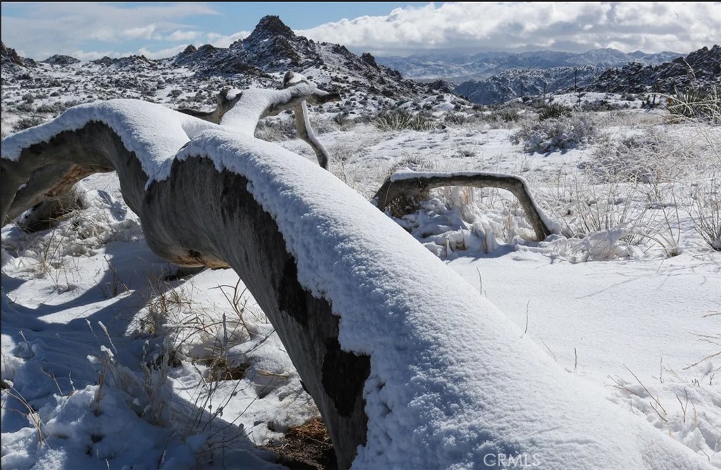 MLS #SW25164124 image #17