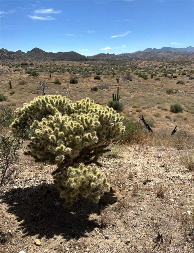 MLS #SW25164124 image #3