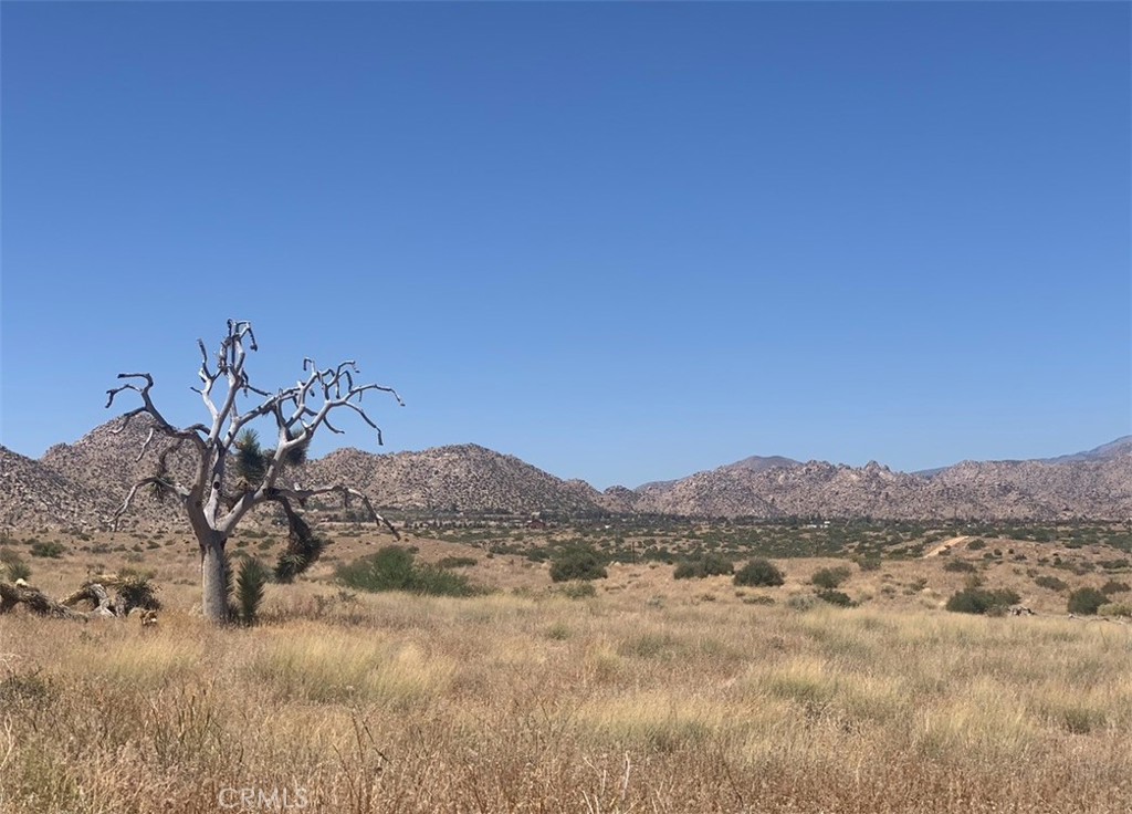 MLS #SW25164124 image #4