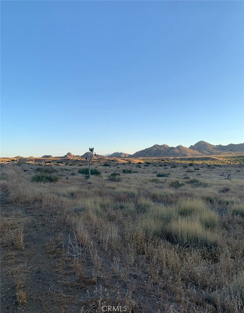 MLS #SW25164124 image #5