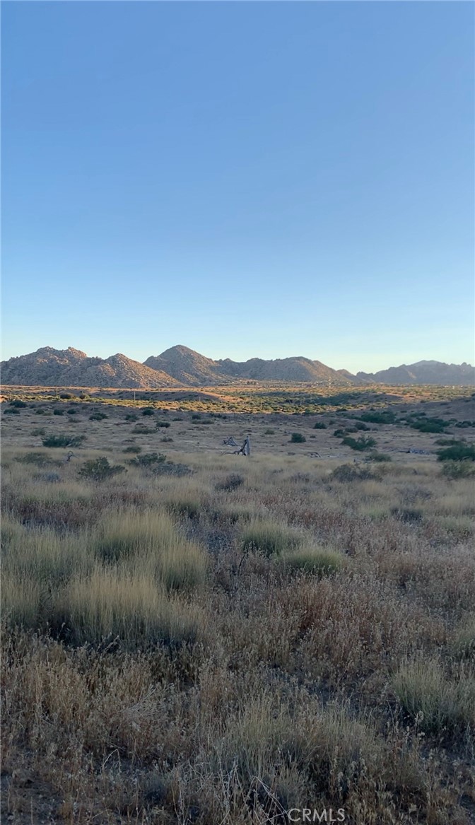 MLS #SW25164124 image #6