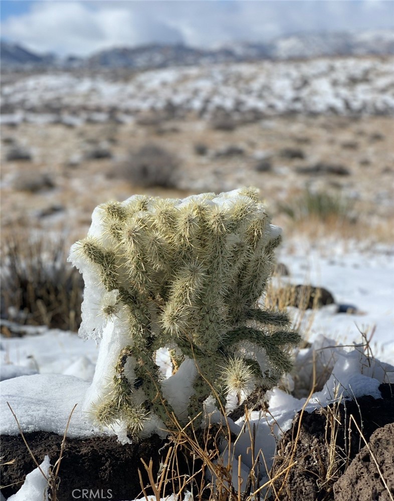 MLS #SW25164124 image #9