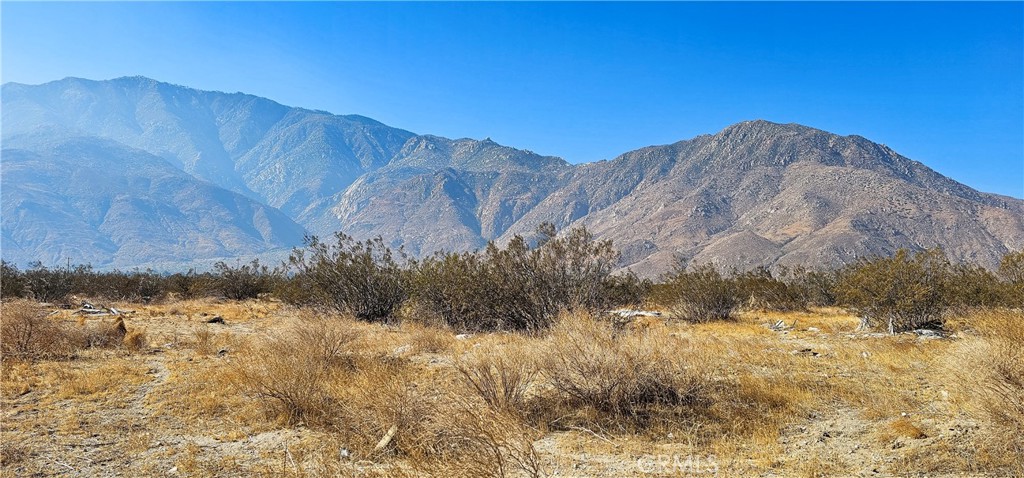 MLS #SW25176451 image #2