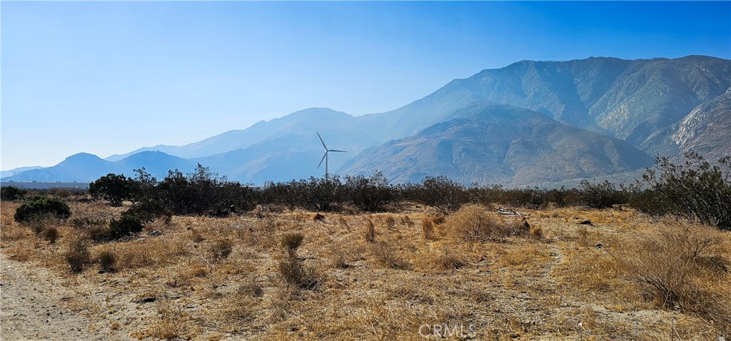 MLS #SW25176451 image #3