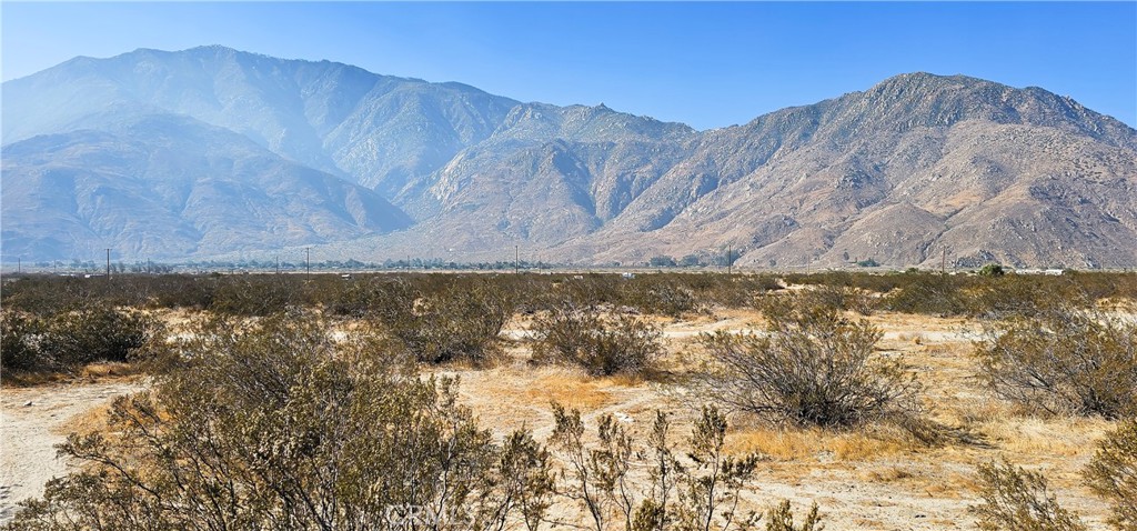 MLS #SW25176451 image #4