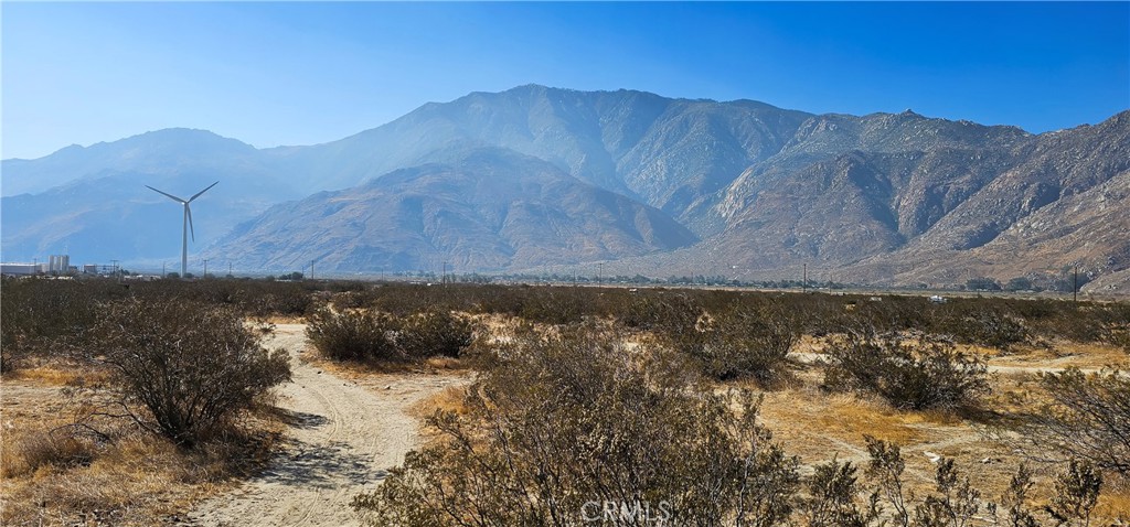 MLS #SW25176451 image #5