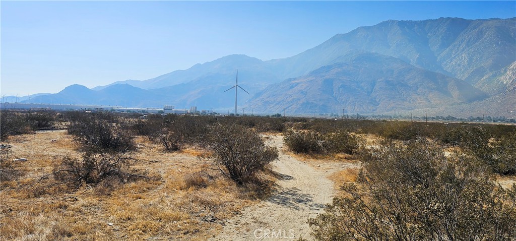 MLS #SW25176451 image #6