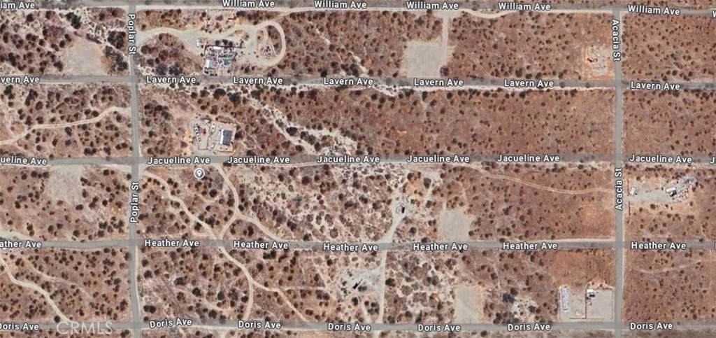 MLS #SW25176451 image #9