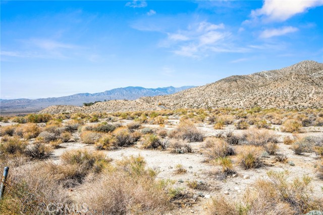 MLS #SW25227633 image #34