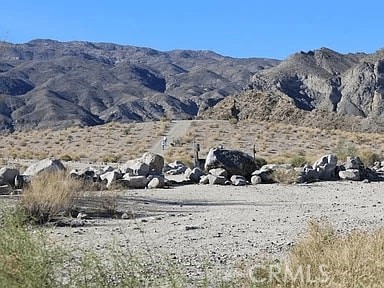 MLS #SW25232355 image #19