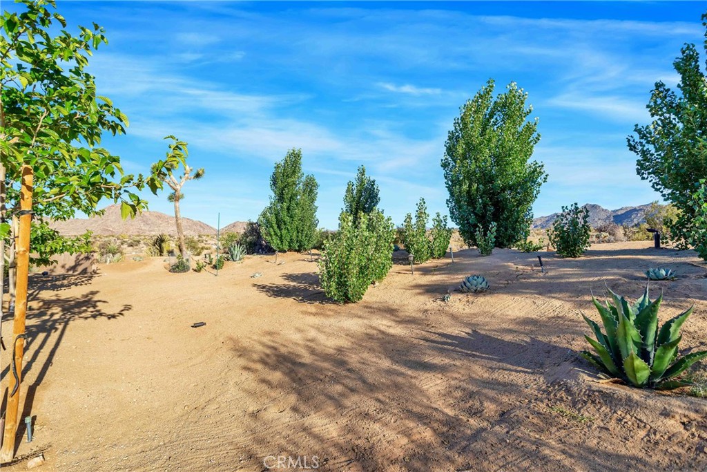 MLS #SW25234935 image #36