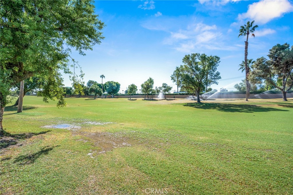 MLS #SW25235451 image #28