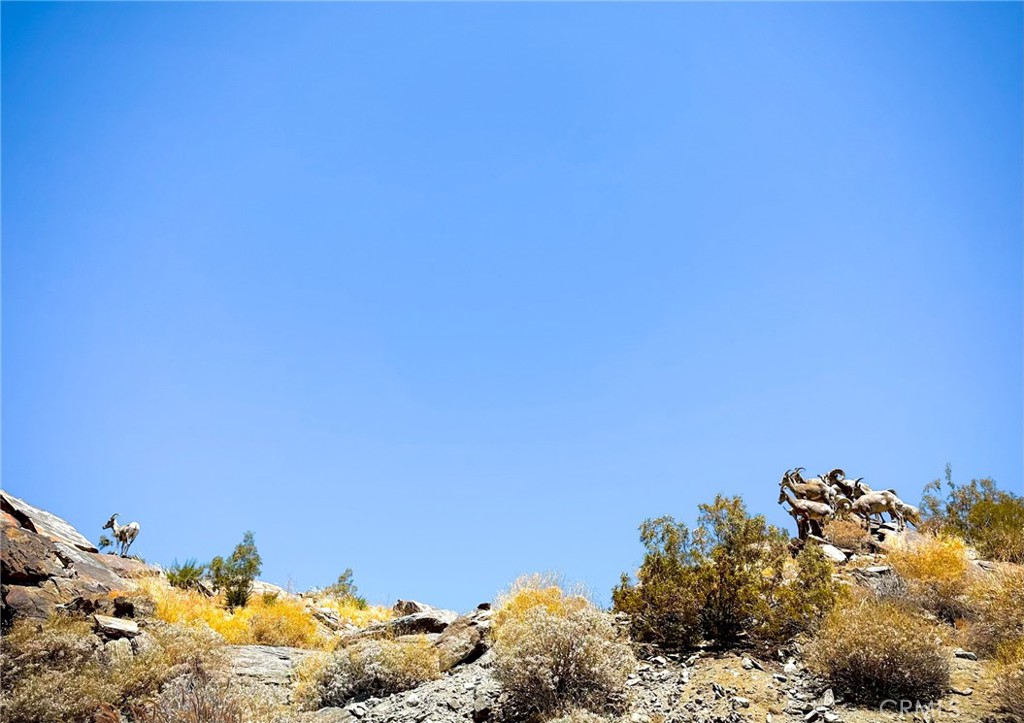 MLS #SW25244399 image #39