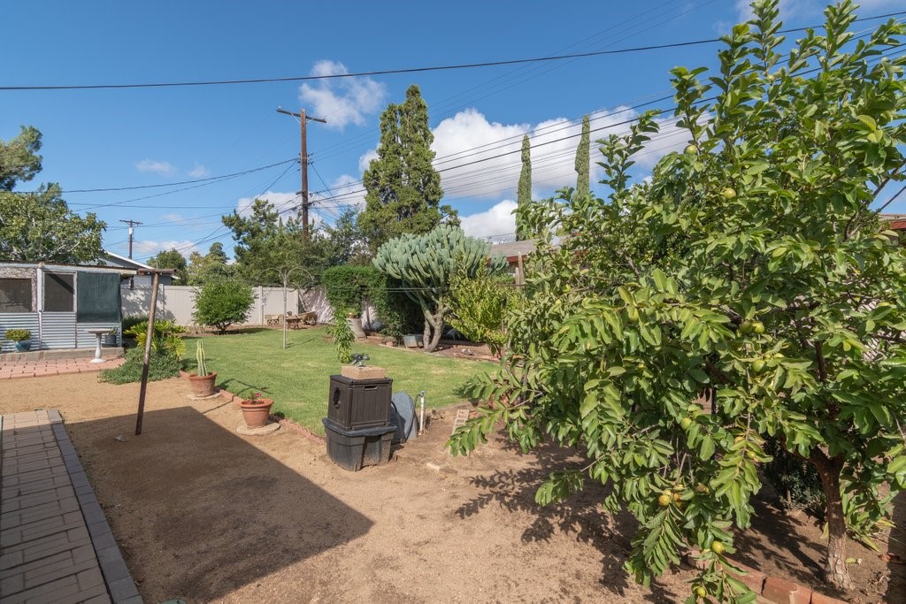 MLS #SW25244775 image #38